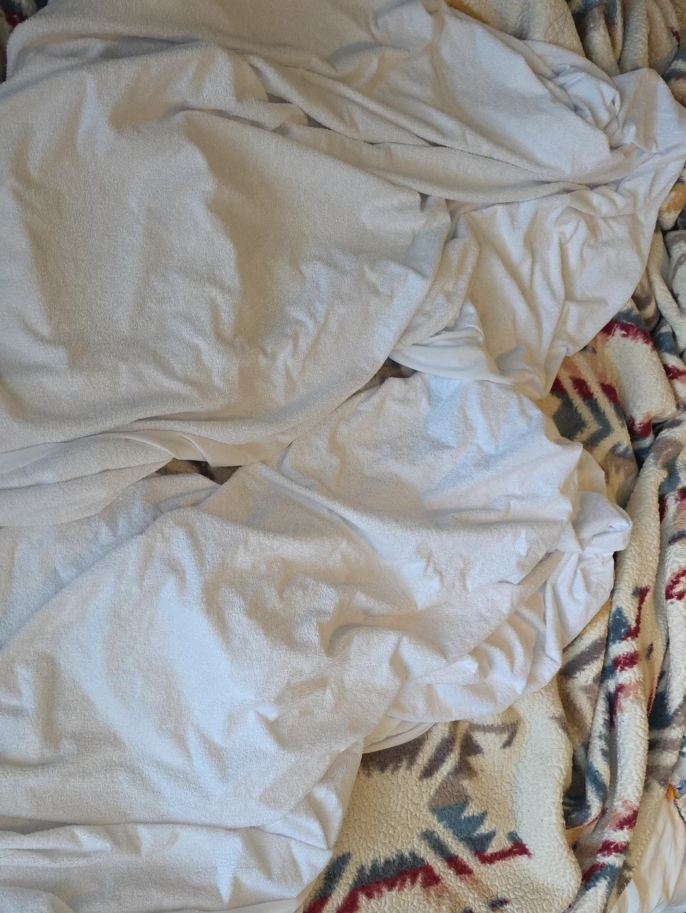 2 Mattress Protectors Size Full